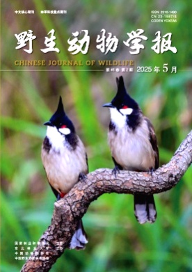 野生动物学报杂志